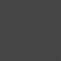 На фото Керамічна плитка Megagres Monocolor B*608 Normal Black
