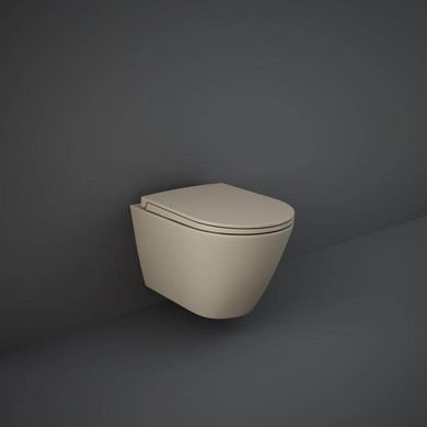 На фото Кришка для унітазу RAK Ceramics Sanitaryware Feeling RSTSC3901514 soft-close ОАЕ