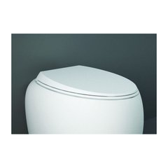 На фото Кришка для унітазу RAK Ceramics Sanitaryware Cloud CLOSC3901500 soft-close ОАЕ